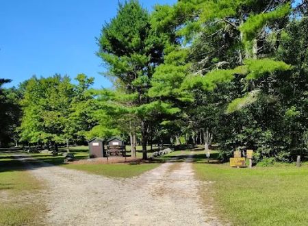 Frog Hollow Horse Camp