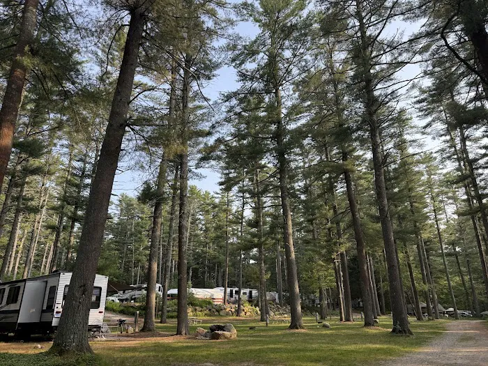 Nature's Campsites Picture 5
