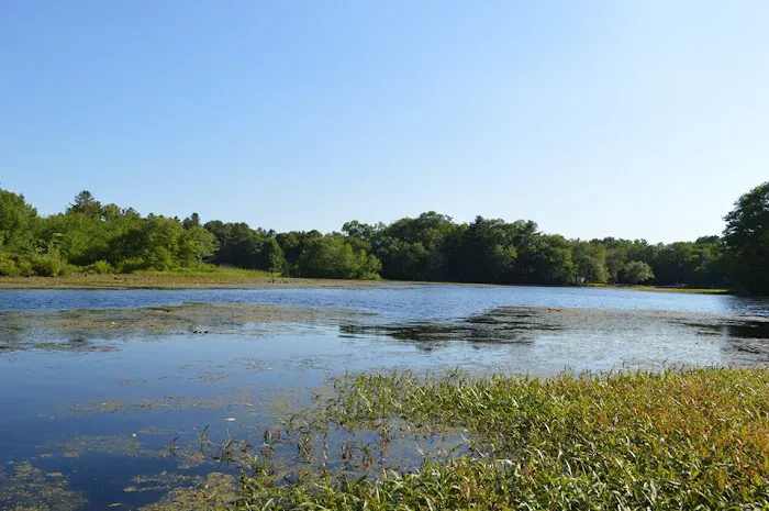 Nature's Campsites Picture 7