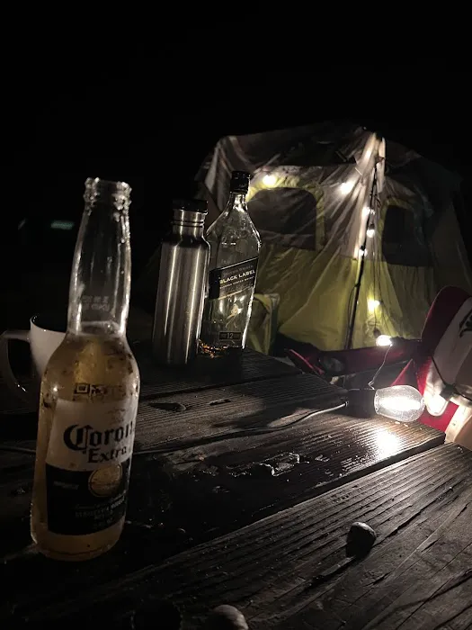 Hither Hills State Park Campground Picture 6