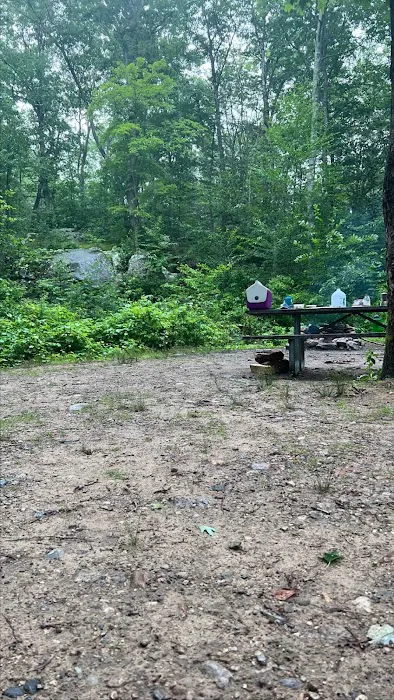 Green Falls Campground Picture 5
