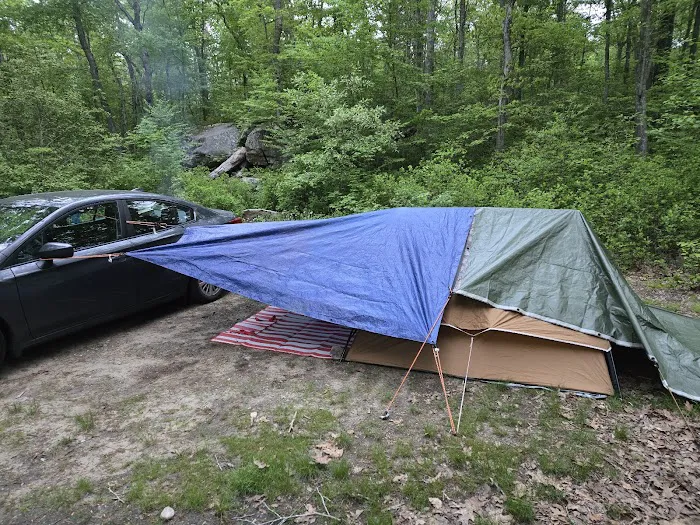 Green Falls Campground Picture 4
