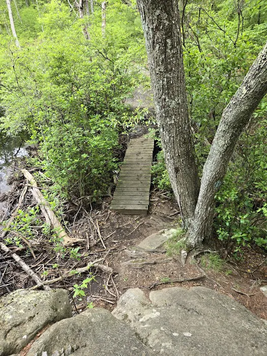 Green Falls Campground Picture 6
