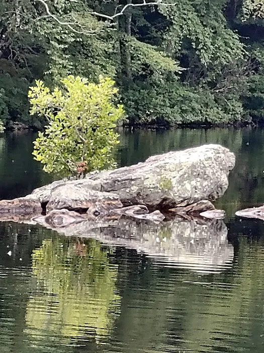 Green Fall Pond Campground Picture 1