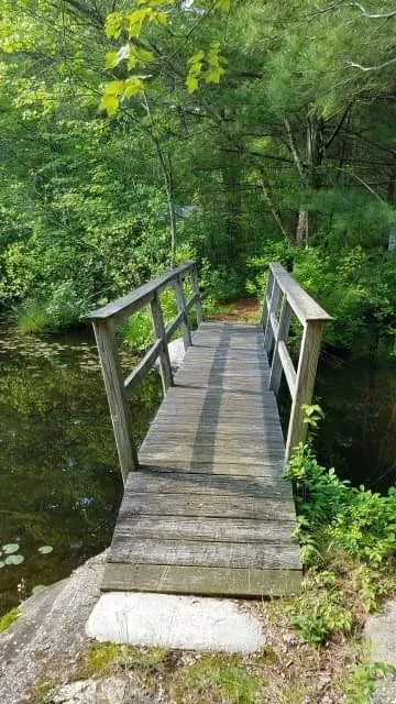 Beach Pond Cabins Picture 8