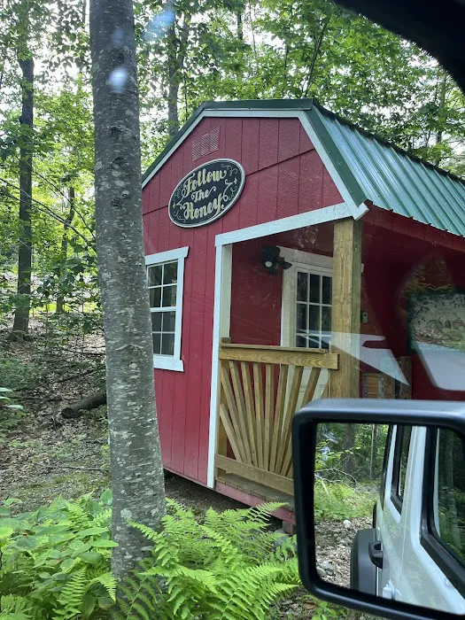 Salamander Hollow Healing Habitat Picture 5