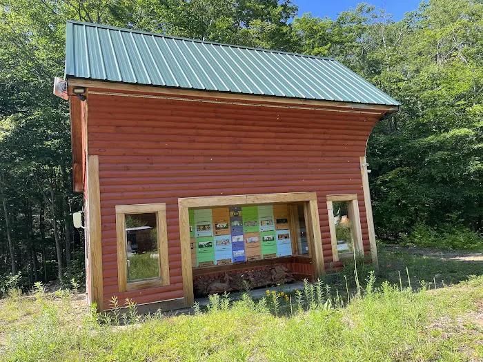 Salamander Hollow Healing Habitat Picture 8
