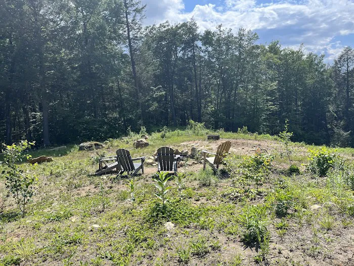 Salamander Hollow Healing Habitat Picture 9