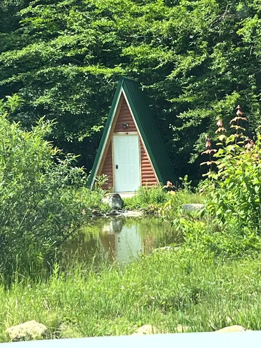 Salamander Hollow Healing Habitat Picture 7