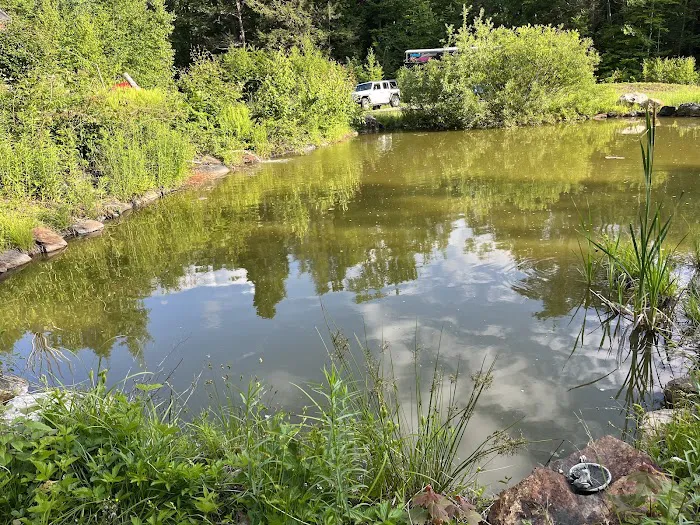 Salamander Hollow Healing Habitat Picture 10