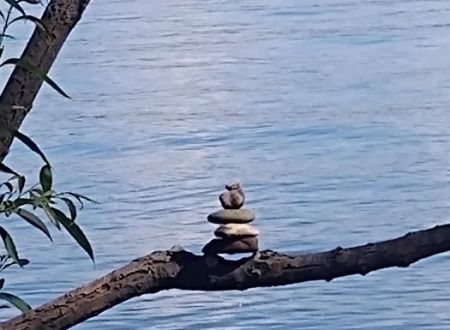 Grant's Vacation Park
