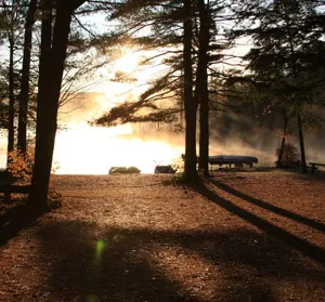 Shir-Roy Camping Area Picture 7