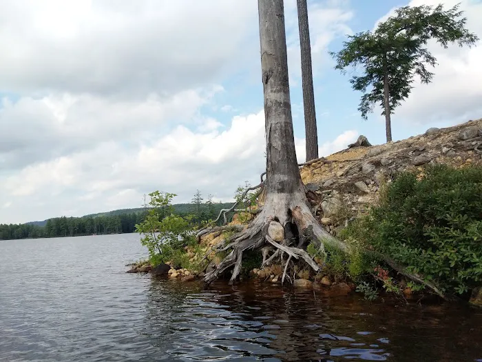 Tully Lake Campground Picture 4