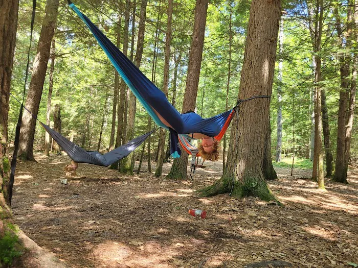 Tully Lake Campground Picture 6