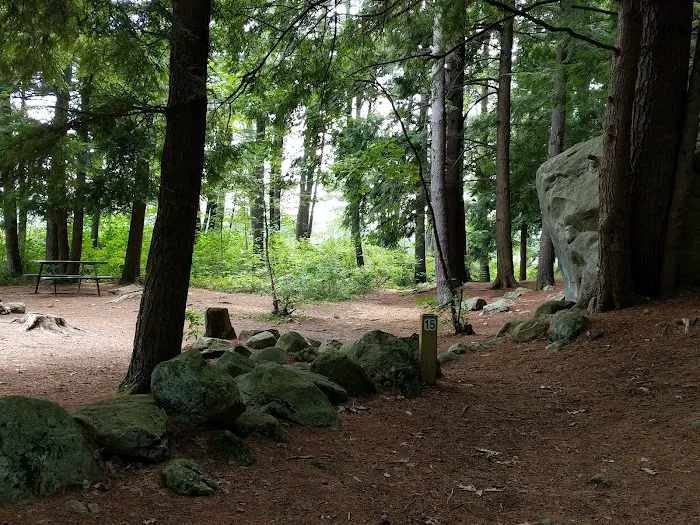 Tully Lake Campground Picture 8