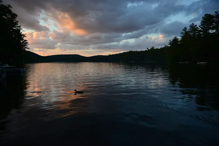 Swanzey Lake Camping Area Picture 3