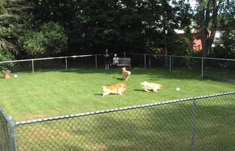 Brattleboro North KOA Journey Picture 7