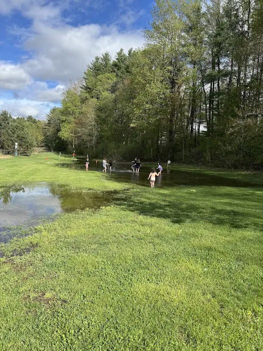 Ashuelot River Campground Picture 7