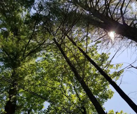 Laurel Lake Campgrounds