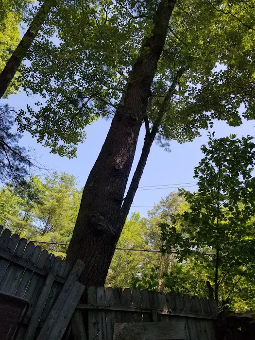 Laurel Lake Campgrounds Picture 5