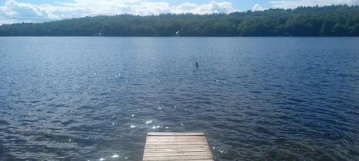 Laurel Lake Campgrounds Picture 7