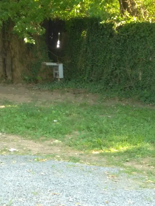 Trailer Park Picture 5