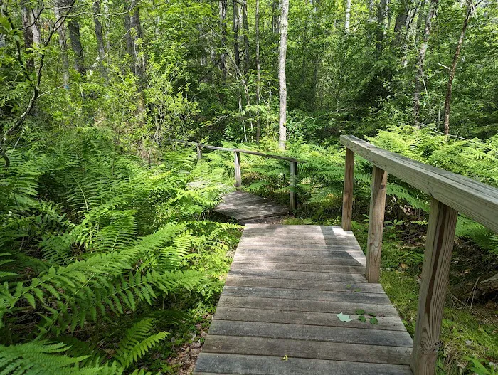 Otter River Campground Picture 7