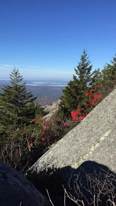 Hunter's State Line Campground-Variety Picture 5