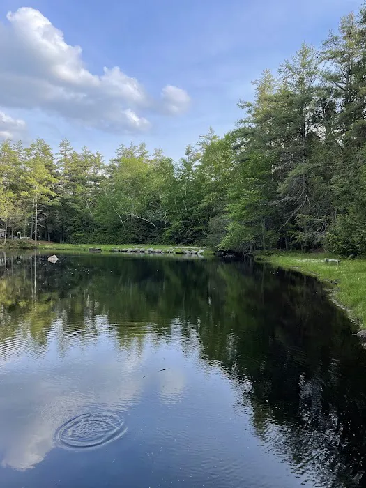 Peaceful Acres Campground Picture 10