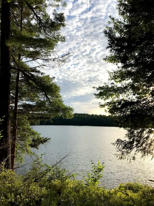 Masonic Home Camp at Round Lake Picture 3