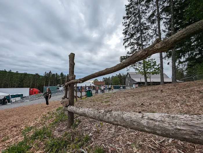 Wonderland Forest Picture 6