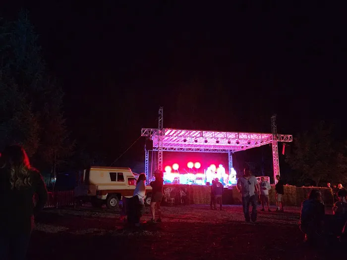 Wonderland Forest Picture 9