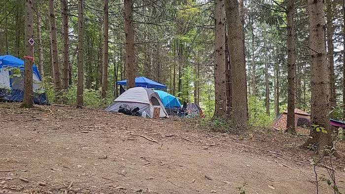 Wonderland Forest Picture 10