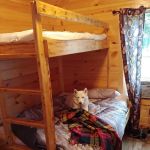 Oneida pines Resort