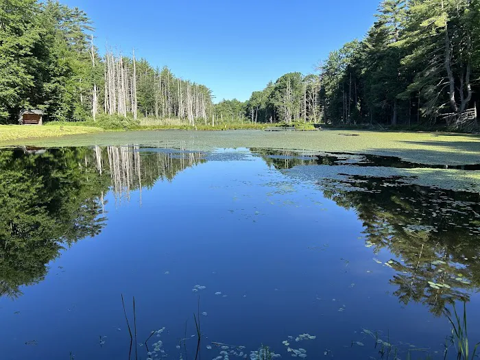 Oneida pines Resort Picture 5