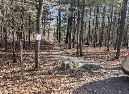 Weiser State Forest (Halderman Tract) Campsite H4 Tract)