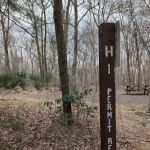 Weiser State Forest (Haldeman Tract) Campsite H1