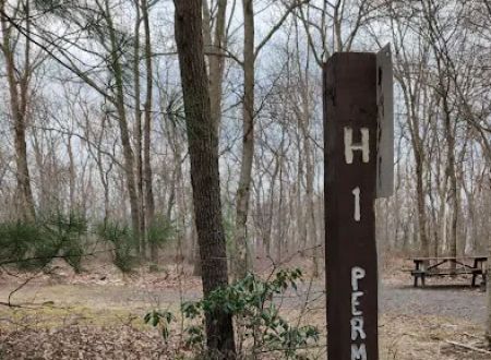 Weiser State Forest (Haldeman Tract) Campsite H1