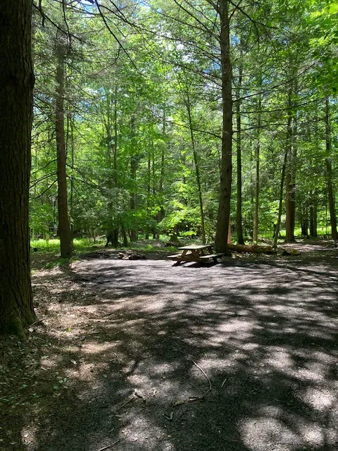 Falling Waters Campground home of Buttermilk Falls Picture 4