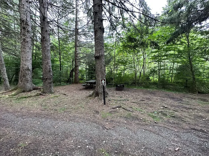 Masten Camping Area Picture 3