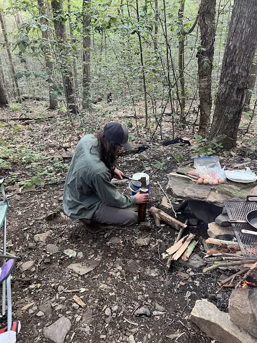 Loyalsock State Forest campsite #360 Picture 10