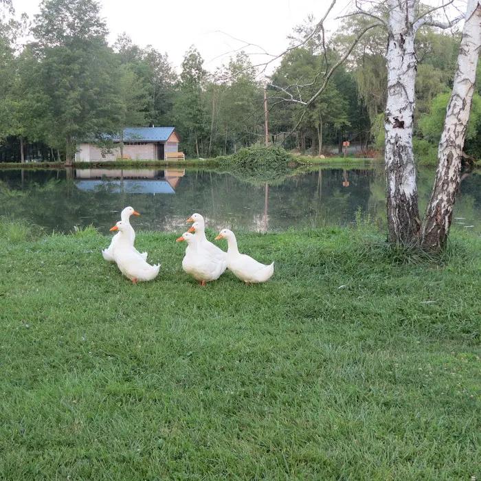 Hidden Creek Campground Picture 8
