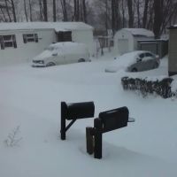 South shore mobile home park ico