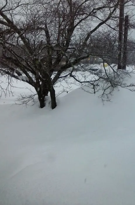 South shore mobile home park Picture 8