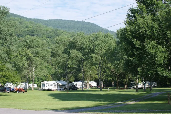 Sheshequin Campground Picture 2