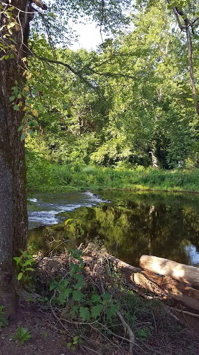 Sheshequin Campground Picture 4