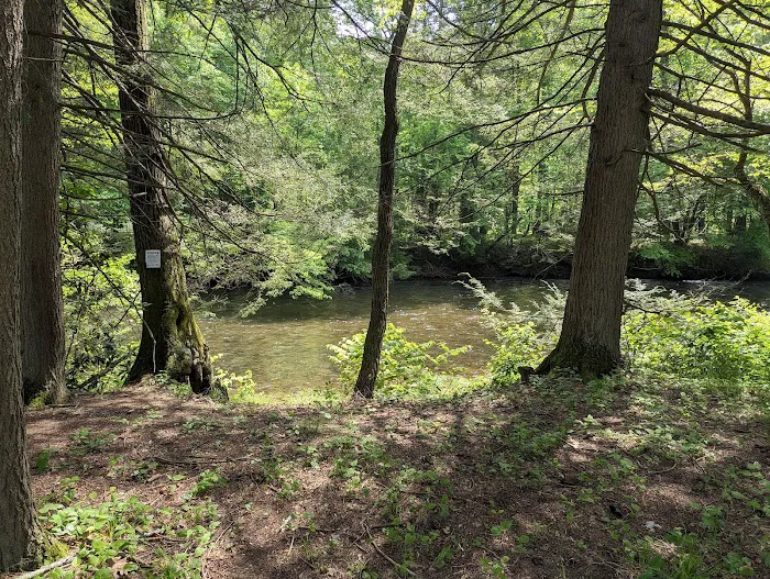 Oilmen's creekside RV sites Picture 1