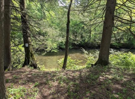 Oilmen's creekside RV sites