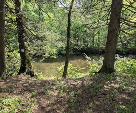 Oilmen's creekside RV sites