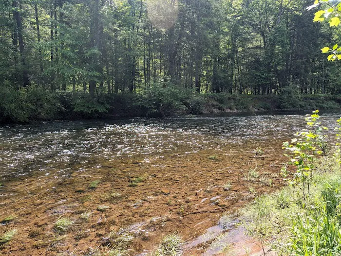 Oilmen's creekside RV sites Picture 4
